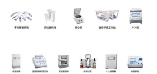 艾本德與施特偉科技強強聯手 數字化人力資源管理邁向智能高效新篇章