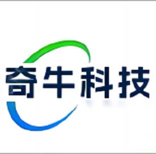 計(jì)算機(jī)系統(tǒng)服務(wù);信息技術(shù)咨詢(xún)服務(wù);人工智能應(yīng)用軟件開(kāi)發(fā);技術(shù)服務(wù)